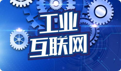 智慧互联，畅通未来 厦门管道业与互联网融合发展的新图景