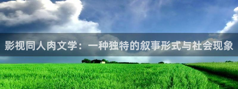 泡泡影视理论：影视同人肉文学：一种独特的叙事形式与社会现象