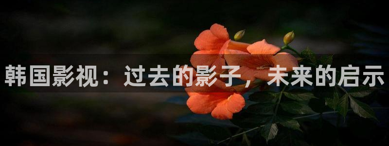 泡泡影院手机电影天堂：韩国影视：过去的影子，未来的启示