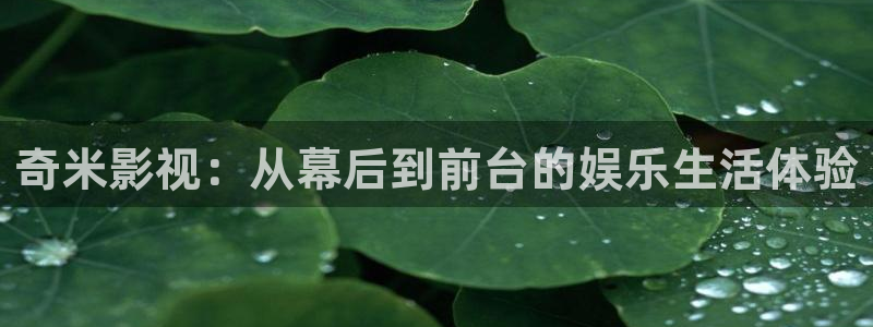 泡泡电影网：奇米影视：从幕后到前台的娱乐生活体验