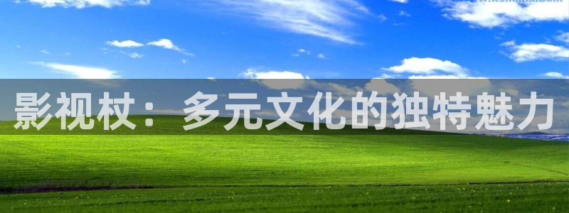 泡泡影视动漫：影视杖：多元文化的独特魅力